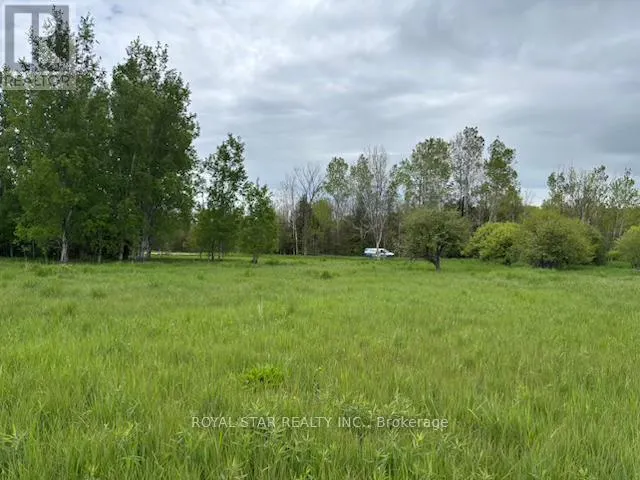 104264 GREY ROAD 18