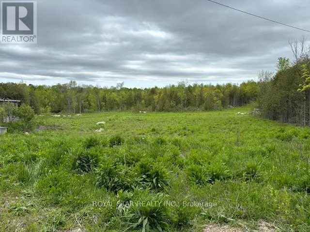 104264 GREY ROAD 18
