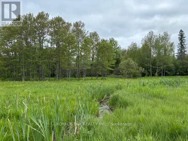 104264 GREY ROAD 18