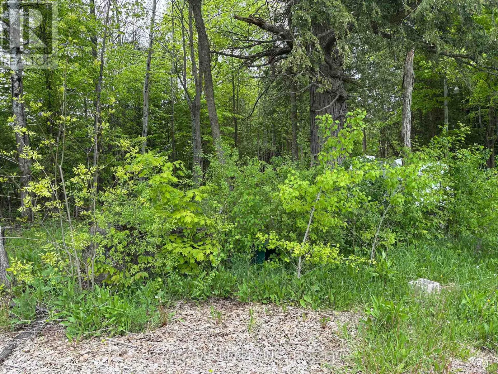 104264 GREY ROAD 18