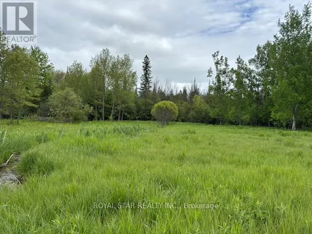 104264 GREY ROAD 18