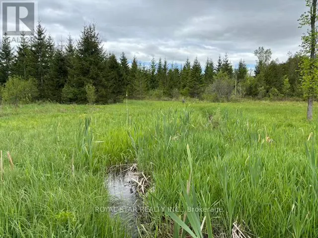 104264 GREY ROAD 18