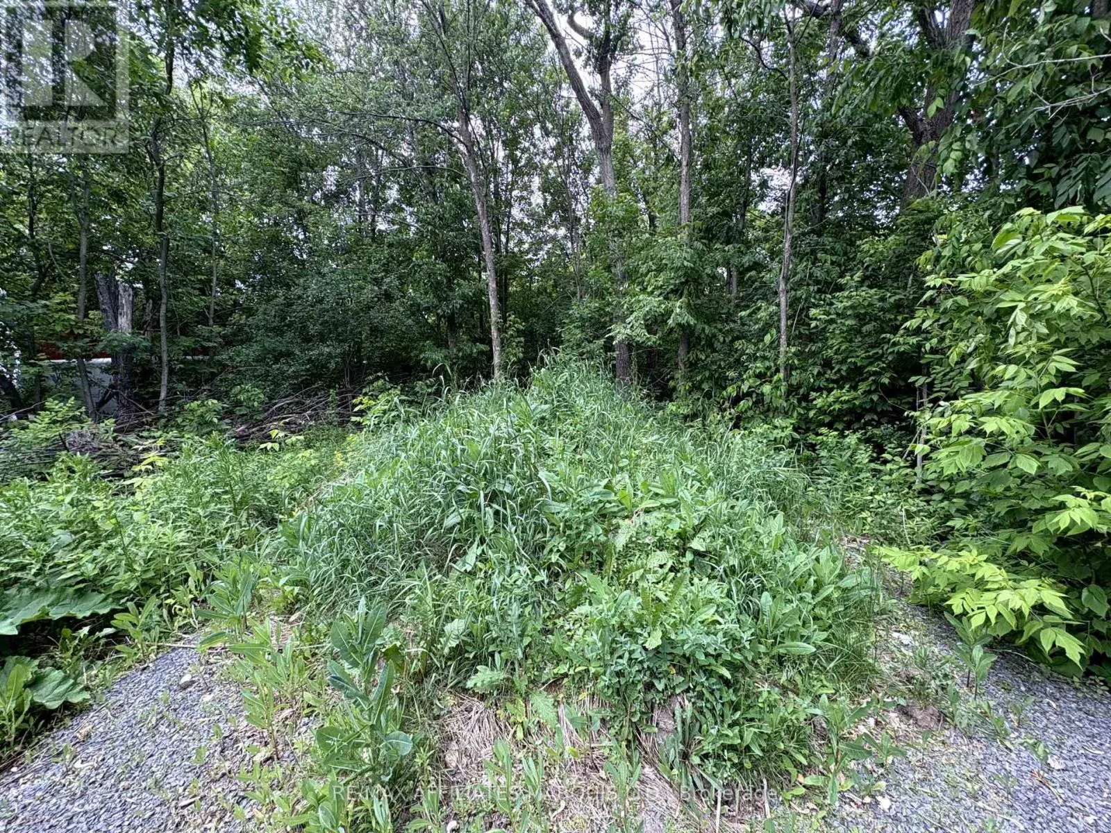 LOT COUNTY ROAD 28 ROAD N