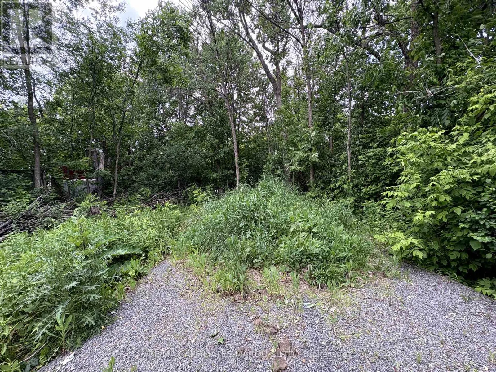 LOT COUNTY ROAD 28 ROAD N