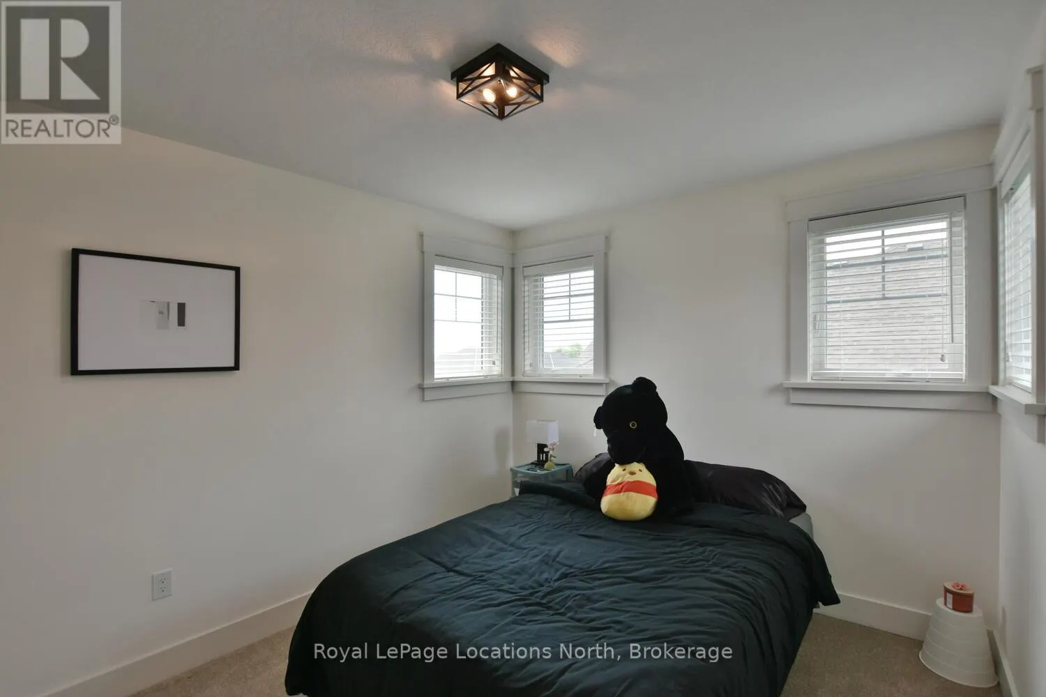 216 SNOWBERRY LANE