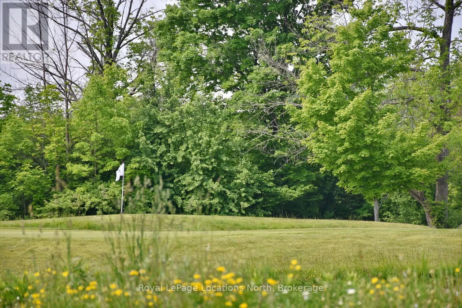 216 SNOWBERRY LANE