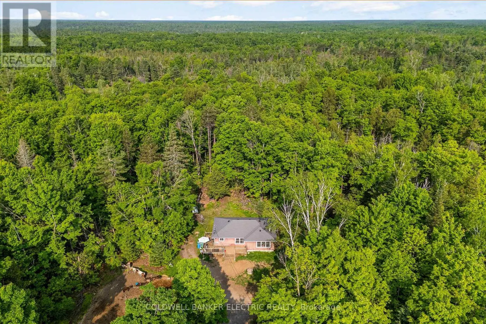 8248 COUNTY ROAD 46 ROAD