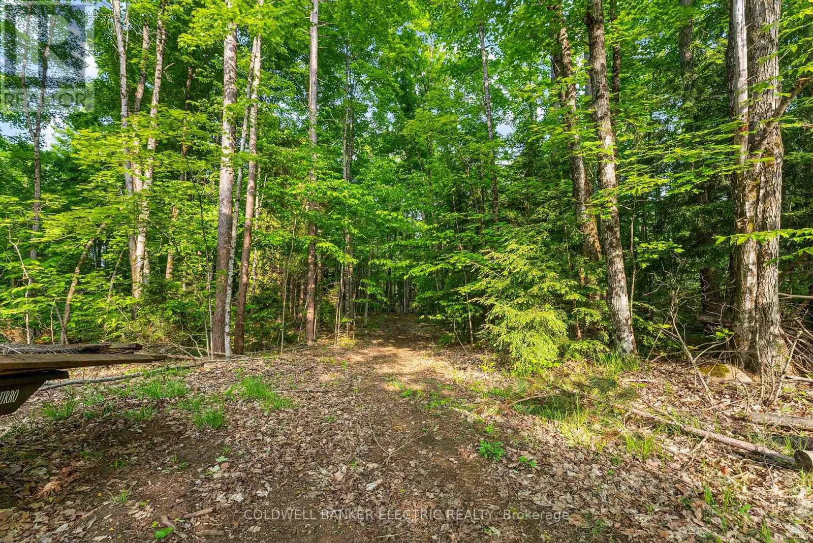 8248 COUNTY ROAD 46 ROAD