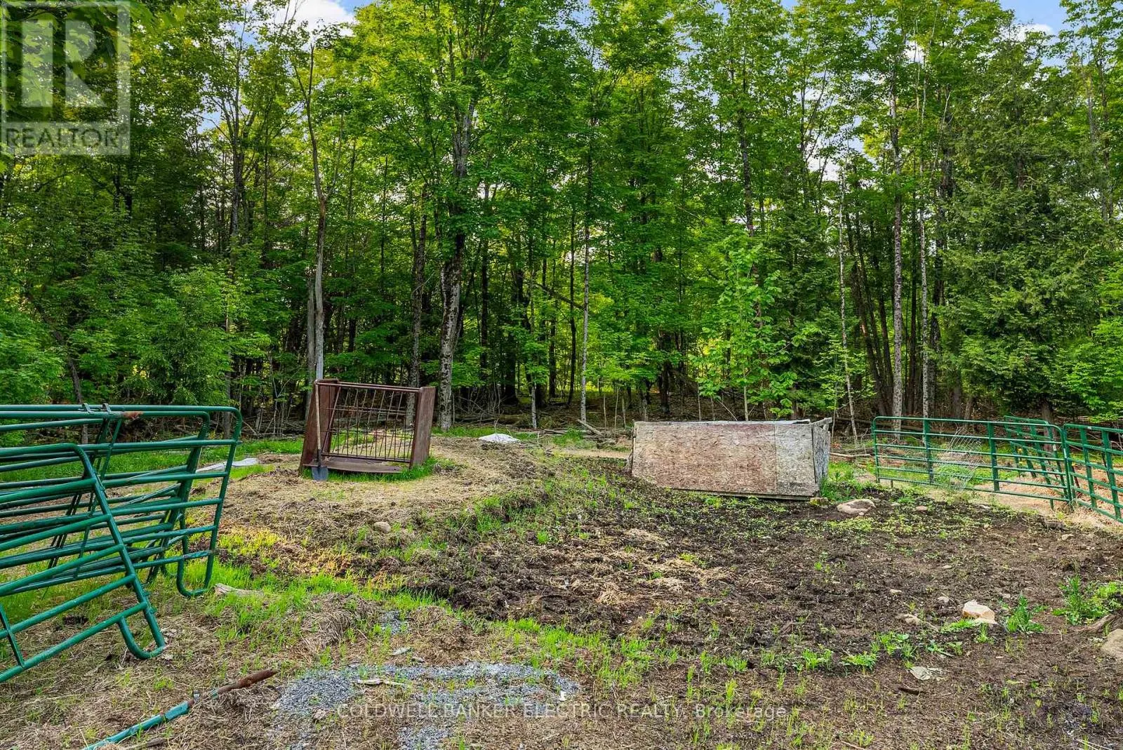 8248 COUNTY ROAD 46 ROAD