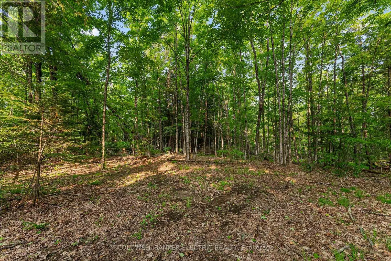 8248 COUNTY ROAD 46 ROAD