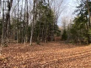 8248 COUNTY ROAD 46 ROAD