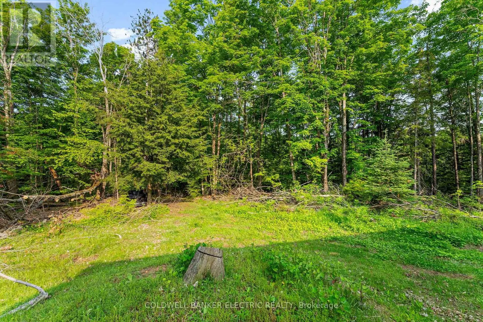 8248 COUNTY ROAD 46 ROAD