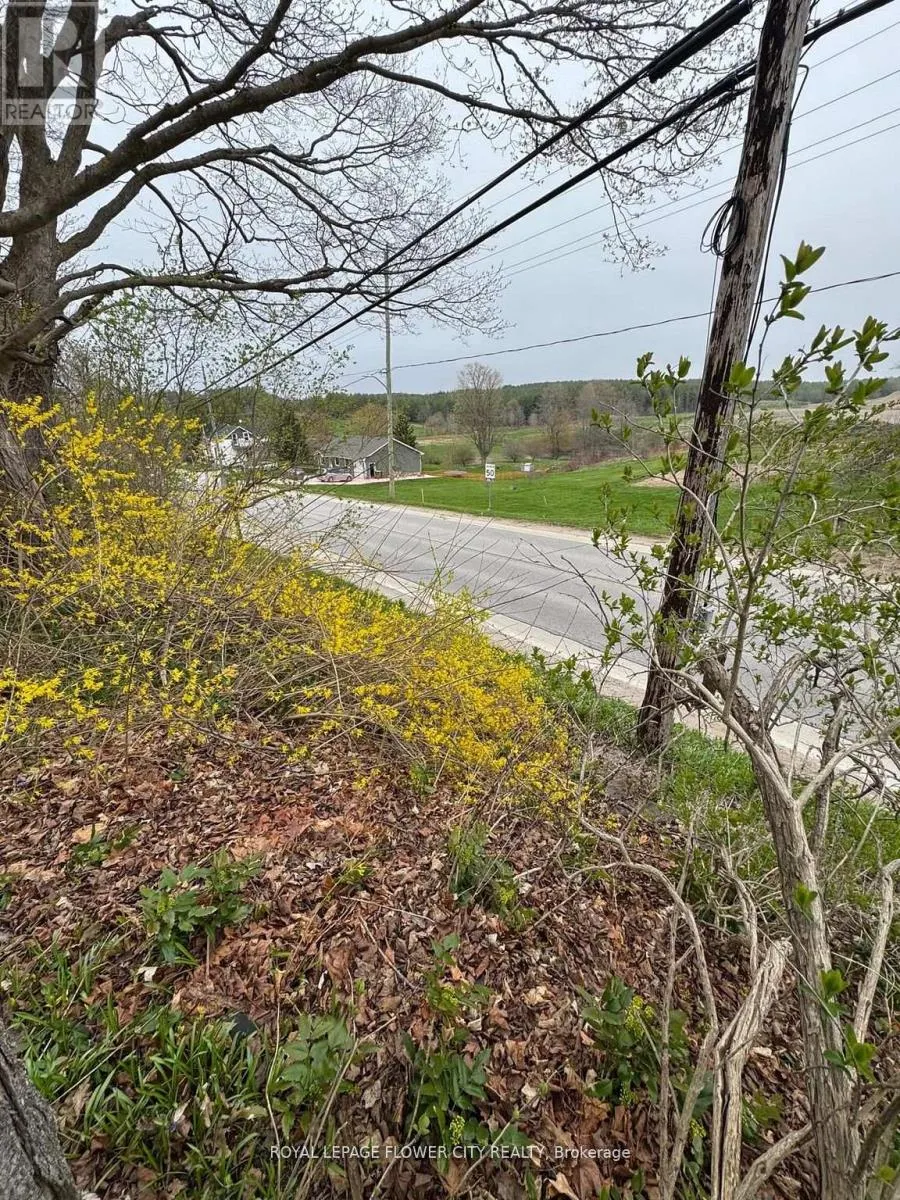 4 - 400035 GREY ROAD