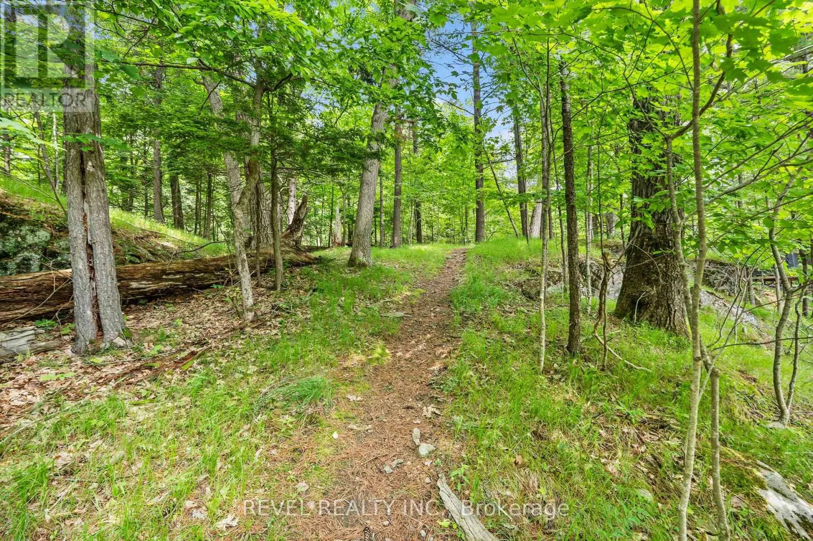 49 SLEEPY HOLLOW ROAD