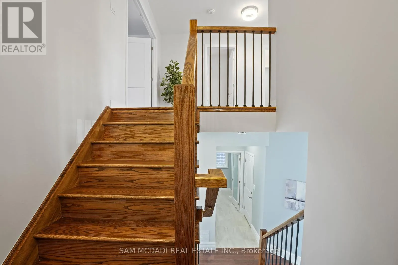 4037 STADELBAUER DRIVE