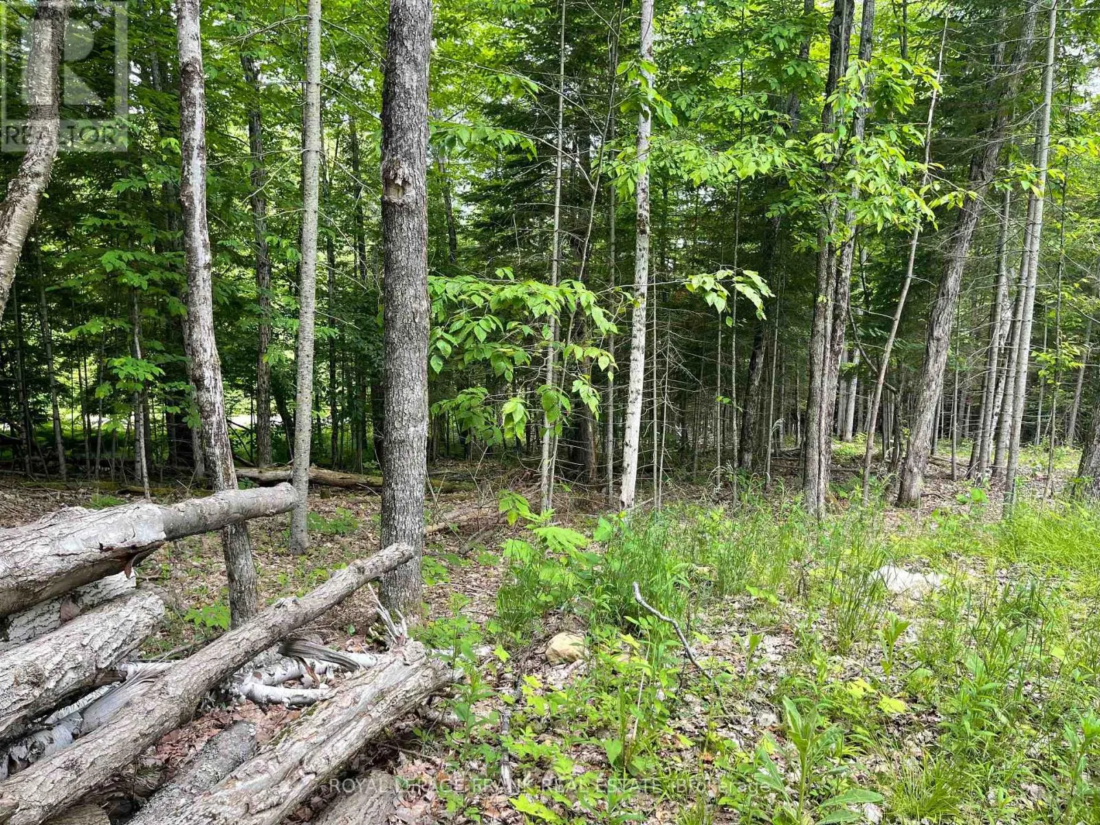 1496 SOUTH BAPTISTE LK ROAD