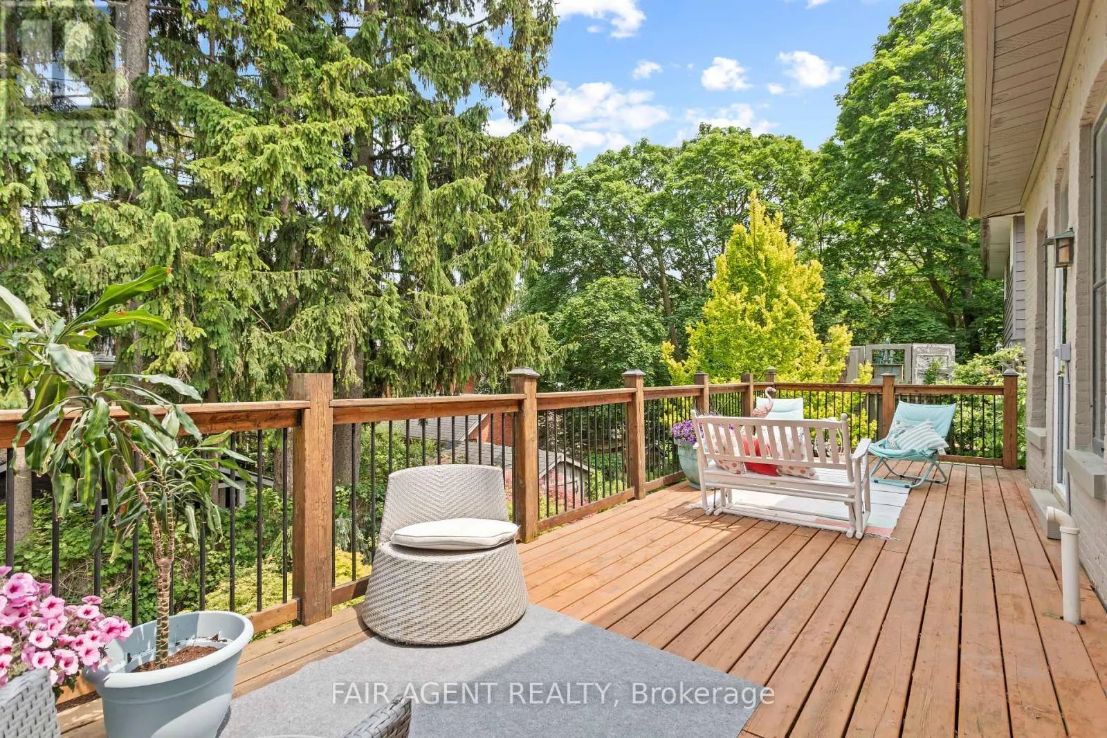 26 DALY AVENUE