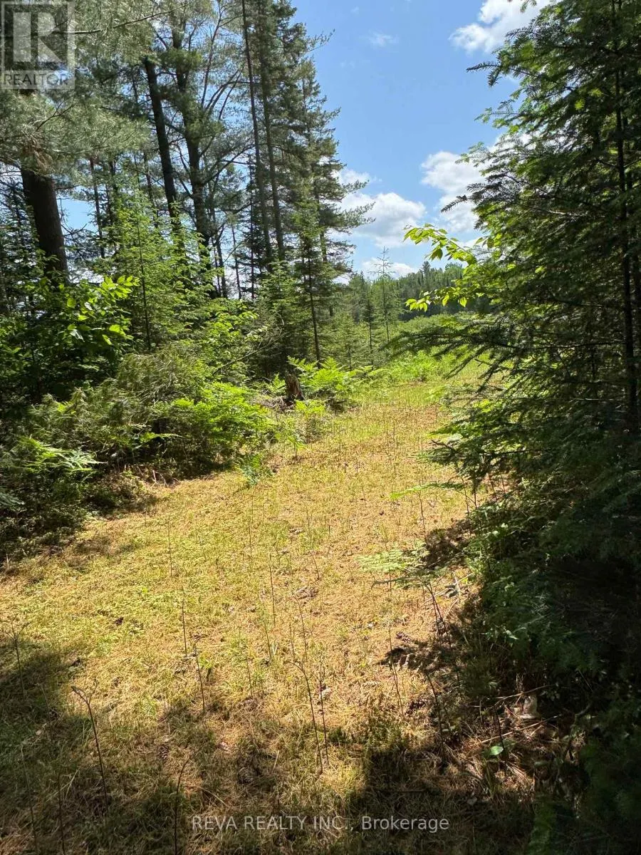 0 WILLIAMS LAKE ROAD