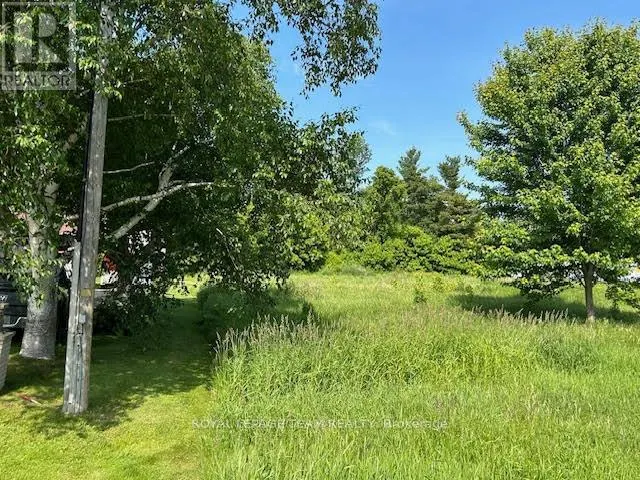 0 COUNTY RD 12 ROAD