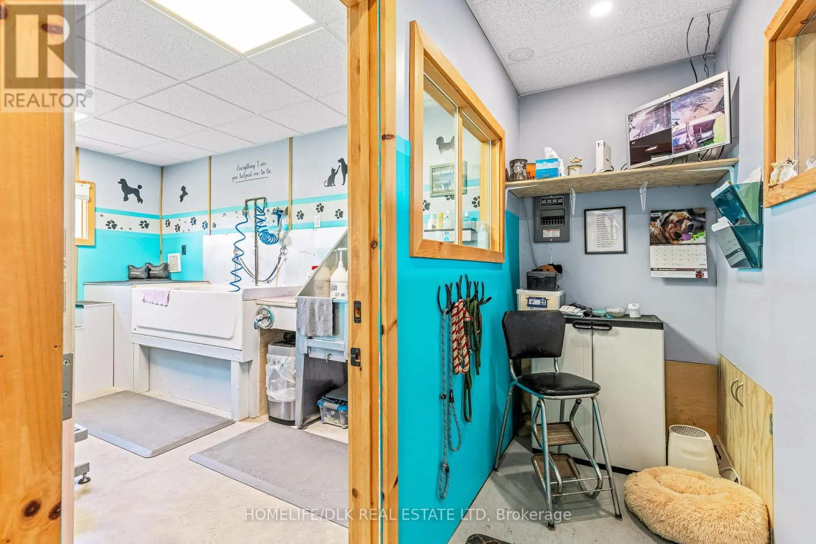 316 ESCOTT YONGE TOWNLINE ROAD