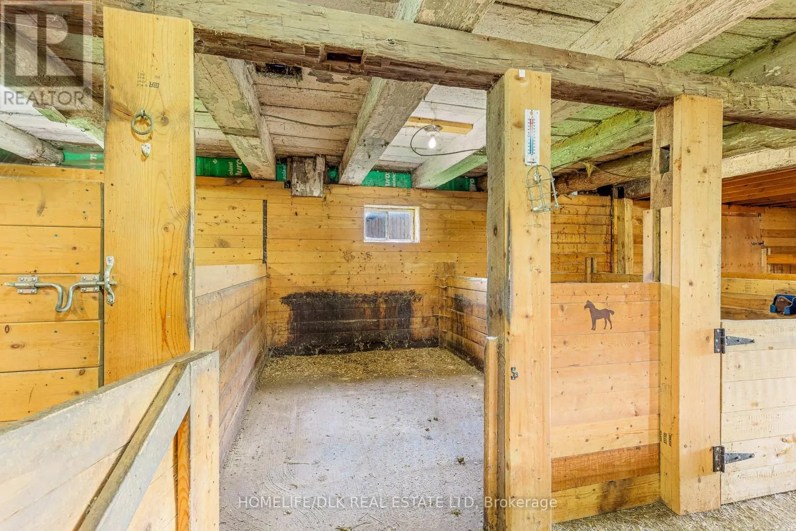 316 ESCOTT YONGE TOWNLINE ROAD