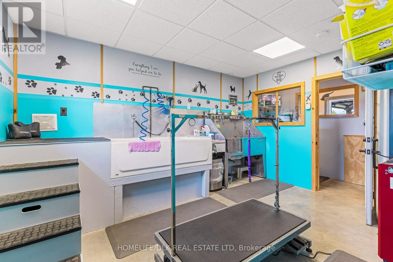 316 ESCOTT YONGE TOWNLINE ROAD