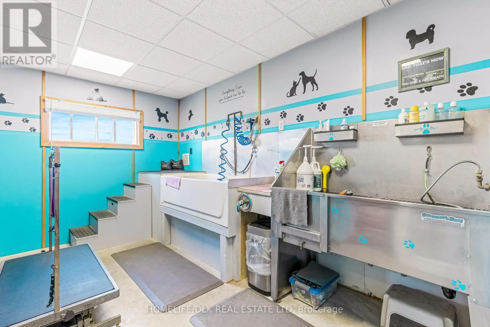 316 ESCOTT YONGE TOWNLINE ROAD