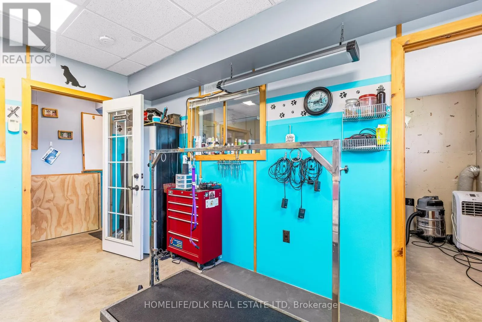 316 ESCOTT YONGE TOWNLINE ROAD