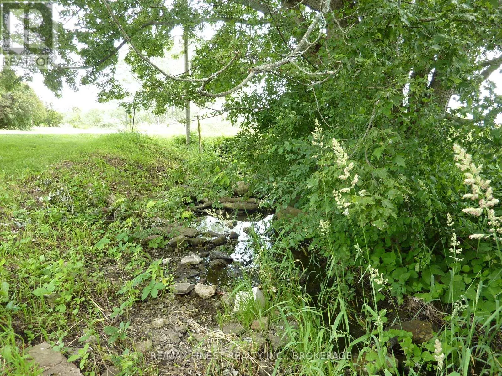 2935 COUNTY ROAD 9