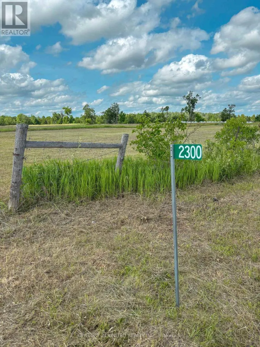 2300 DUMMER-ASPHODEL ROAD N