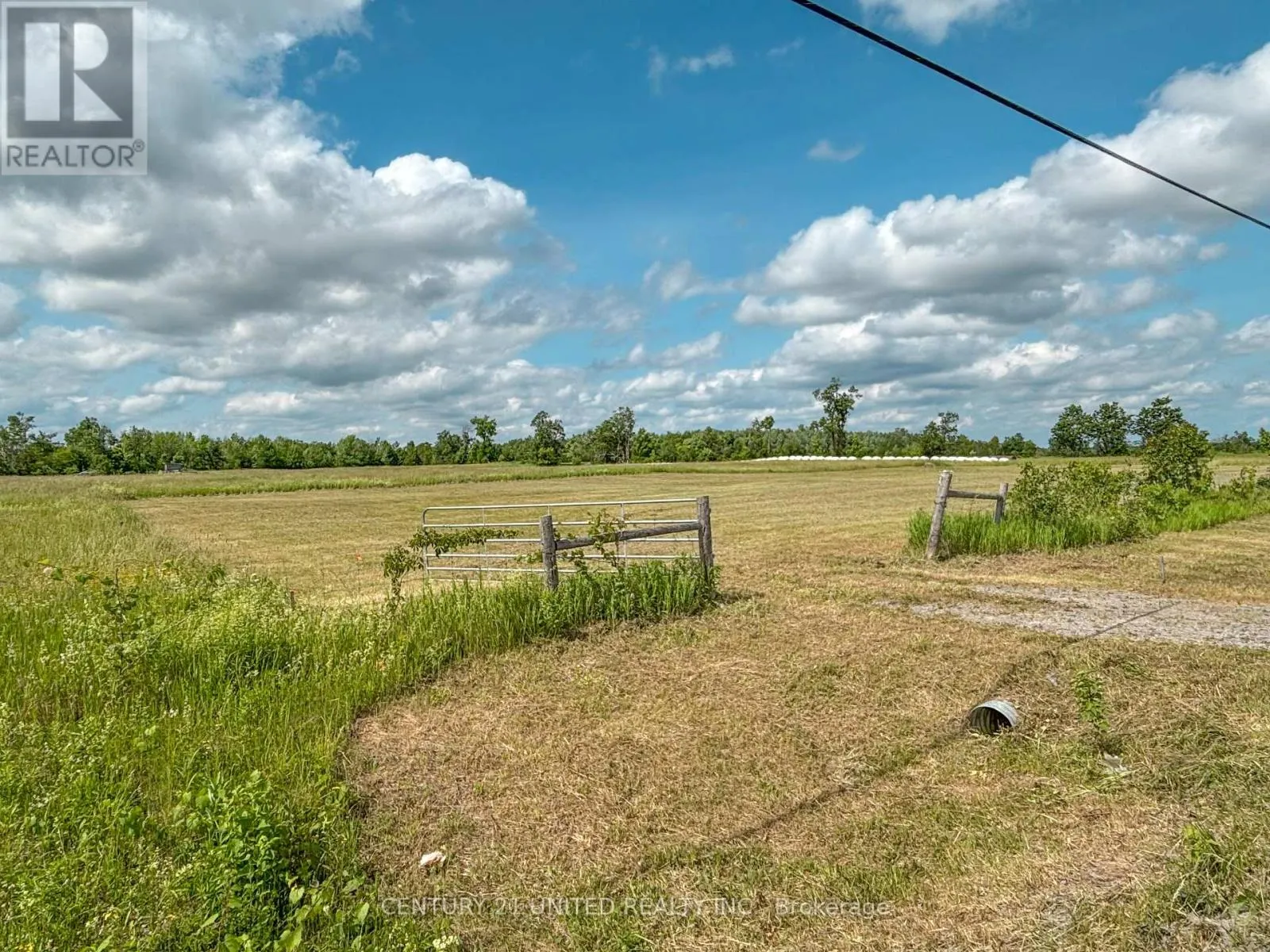 2300 DUMMER-ASPHODEL ROAD N