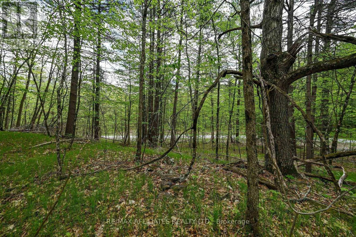 00 CLEAR LAKE ROAD