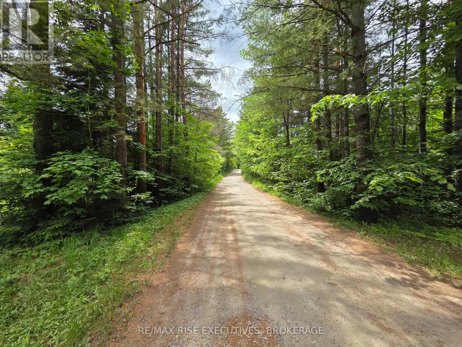 LOT 1 WOODLAND PARK DRIVE
