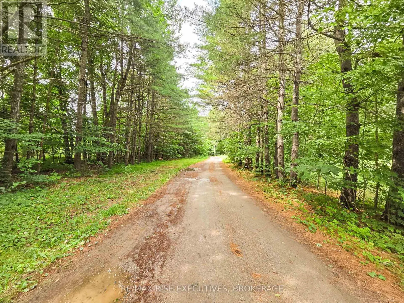LOT 1 WOODLAND PARK DRIVE
