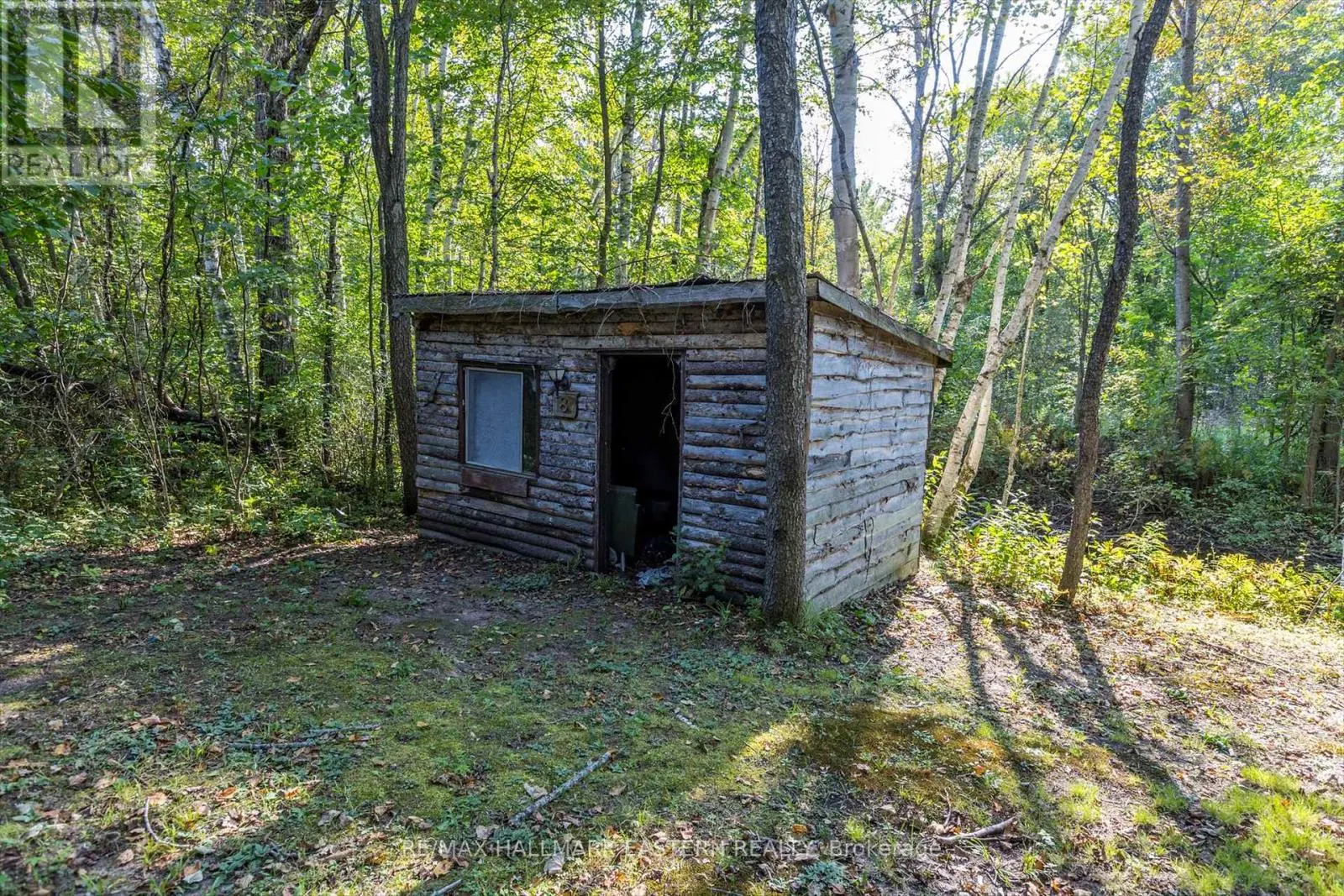 LOT 13 TRENT RIVER ROAD