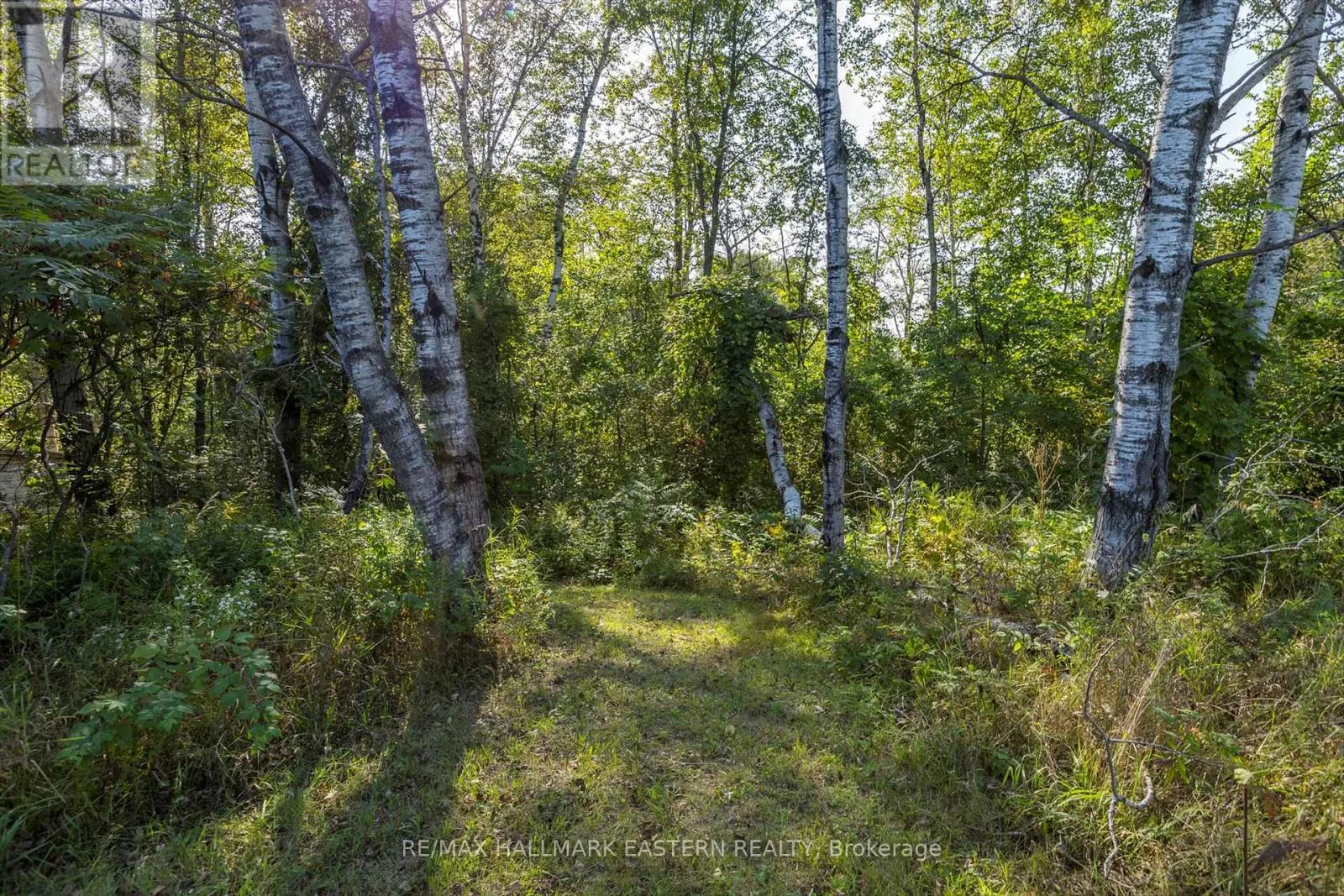 LOT 13 TRENT RIVER ROAD