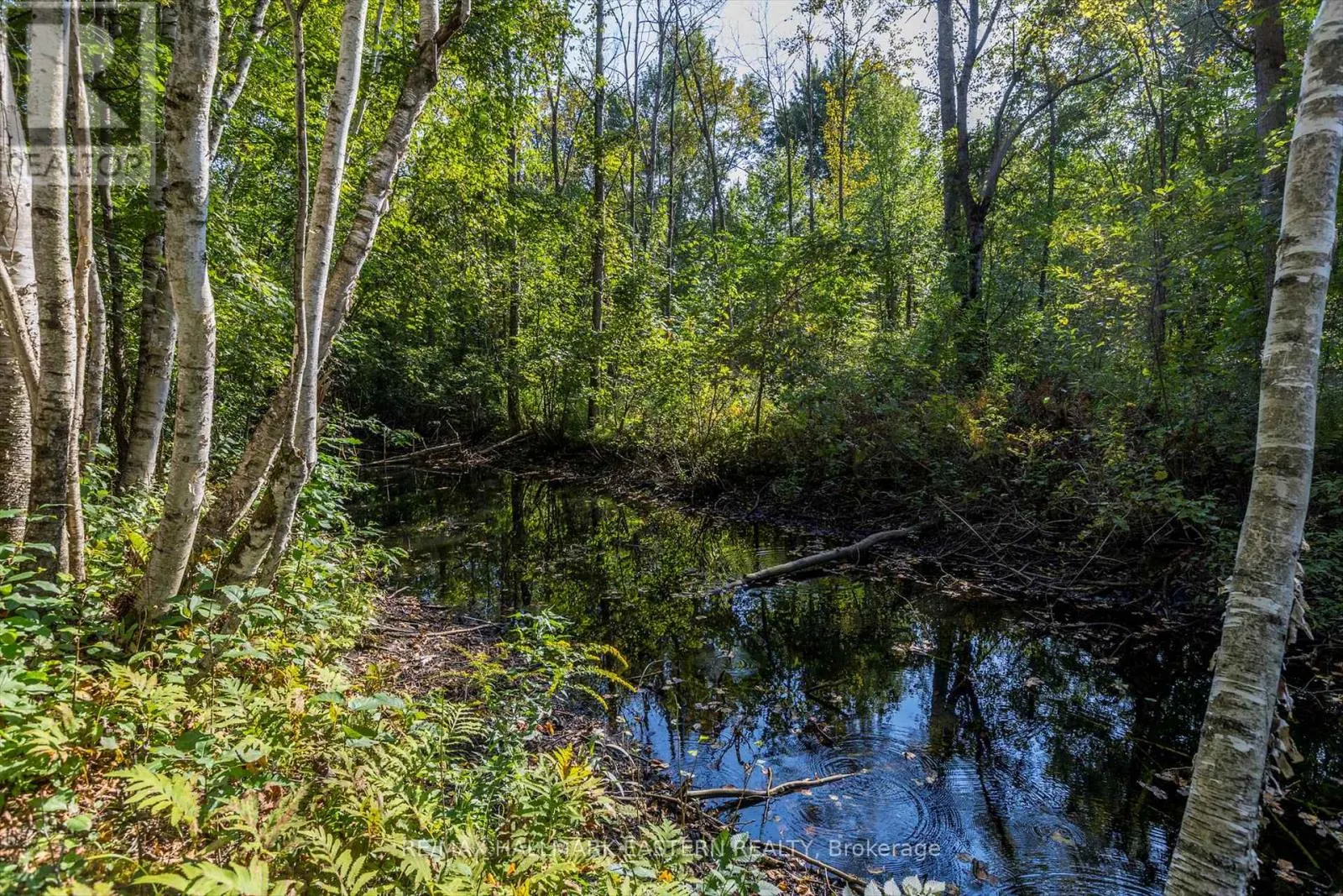LOT 13 TRENT RIVER ROAD