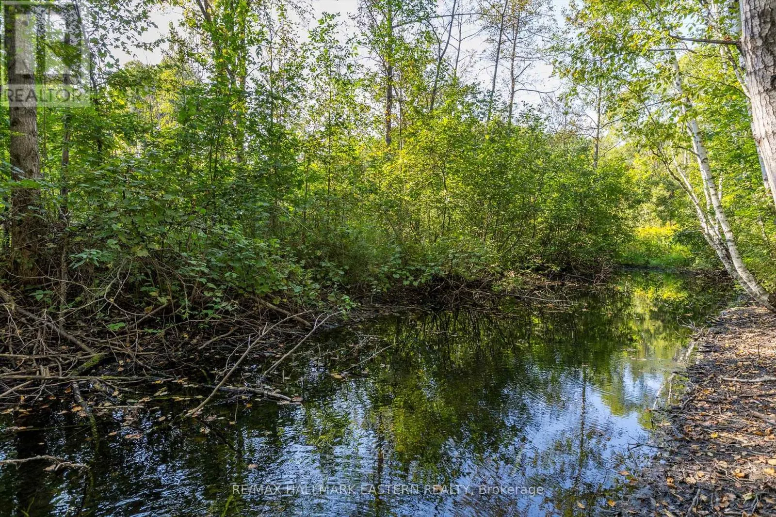 LOT 13 TRENT RIVER ROAD