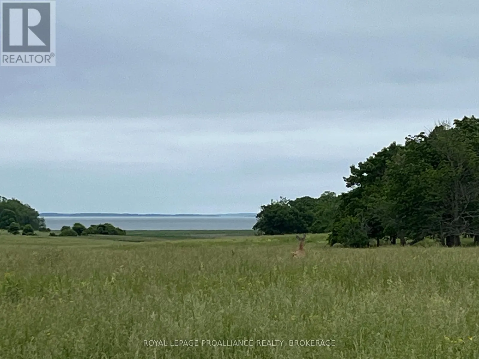 15 IRVINE BAY LANE