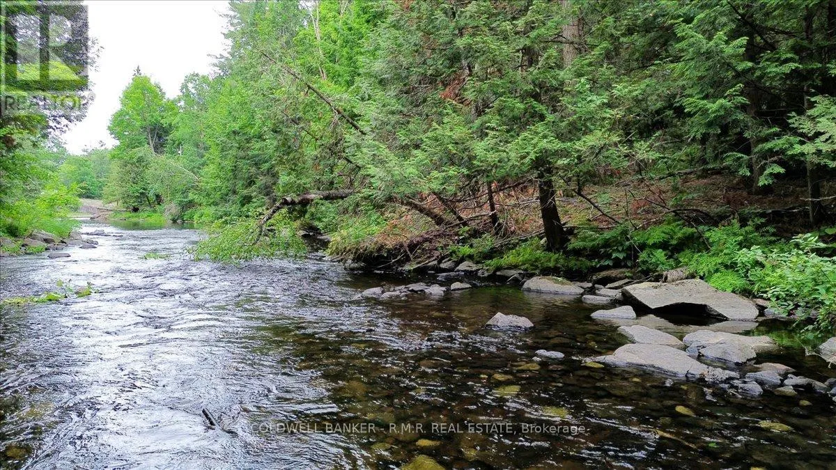 N/A BASS LAKE ROAD