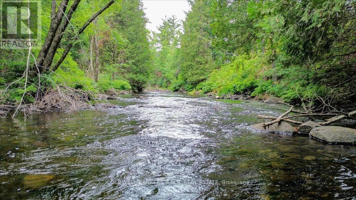 N/A BASS LAKE ROAD