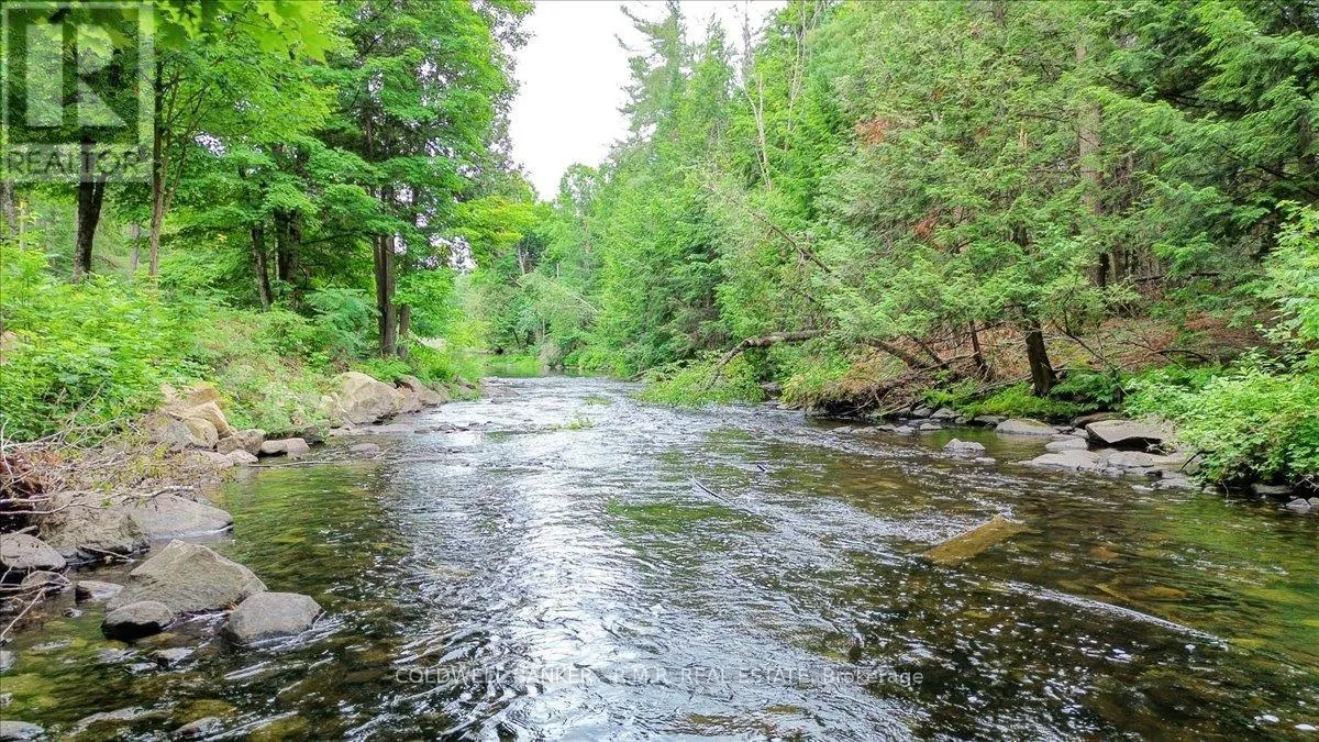 N/A BASS LAKE ROAD