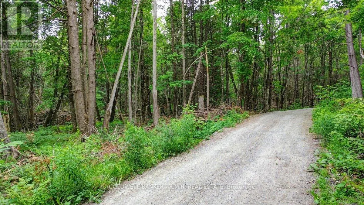 N/A TULLY'S ROAD