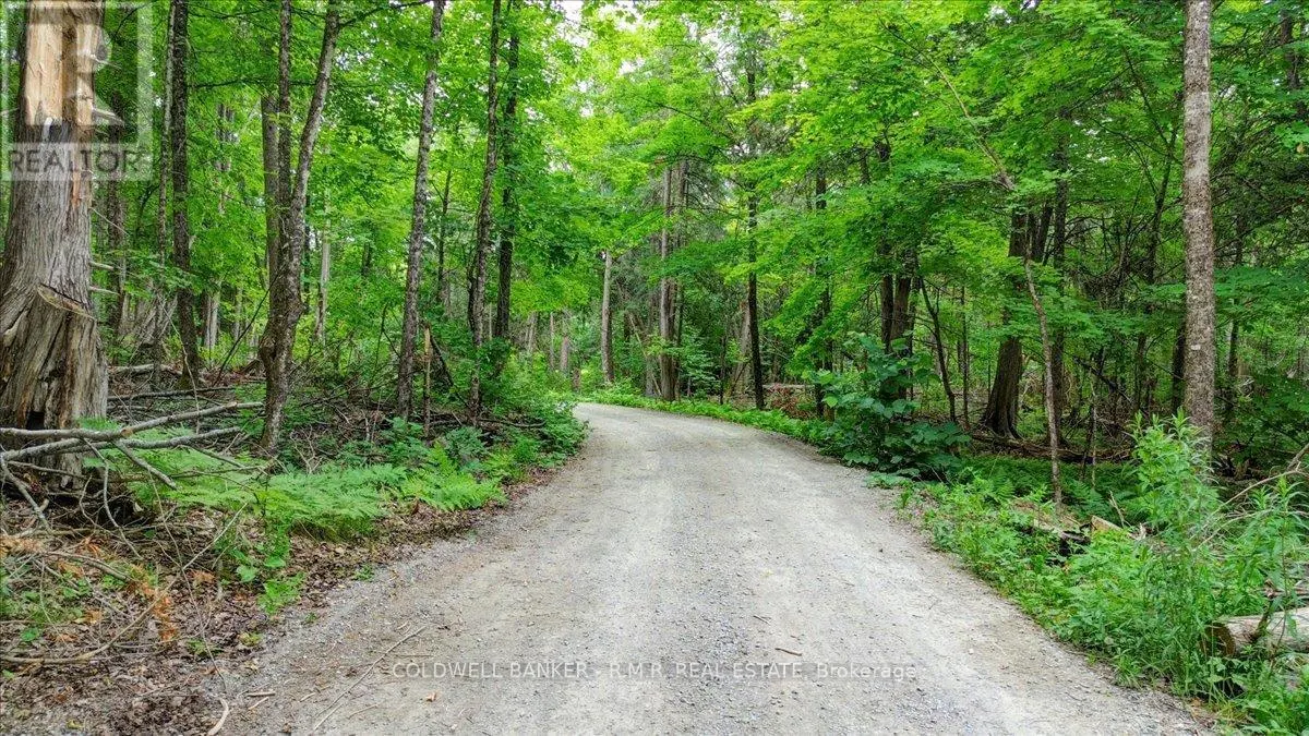 N/A TULLY'S ROAD