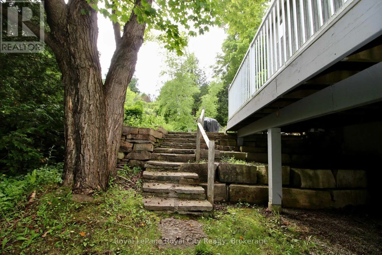 14 DOCK LANE