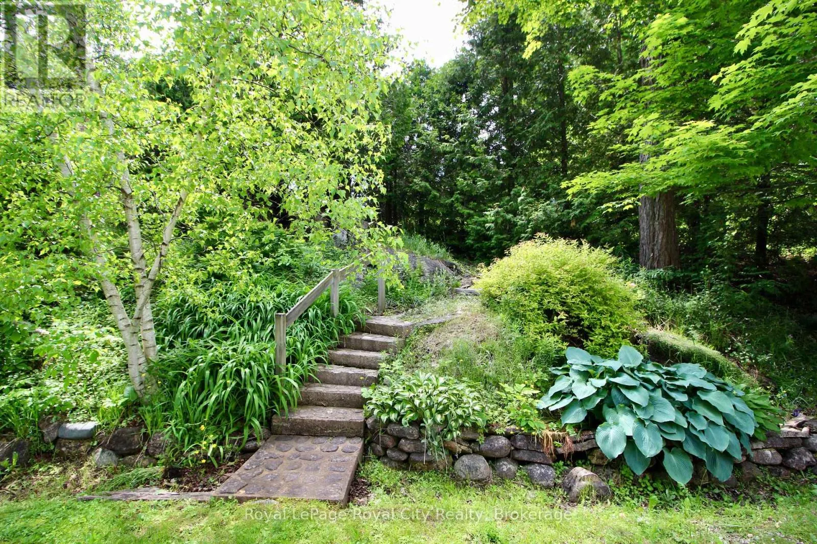 14 DOCK LANE