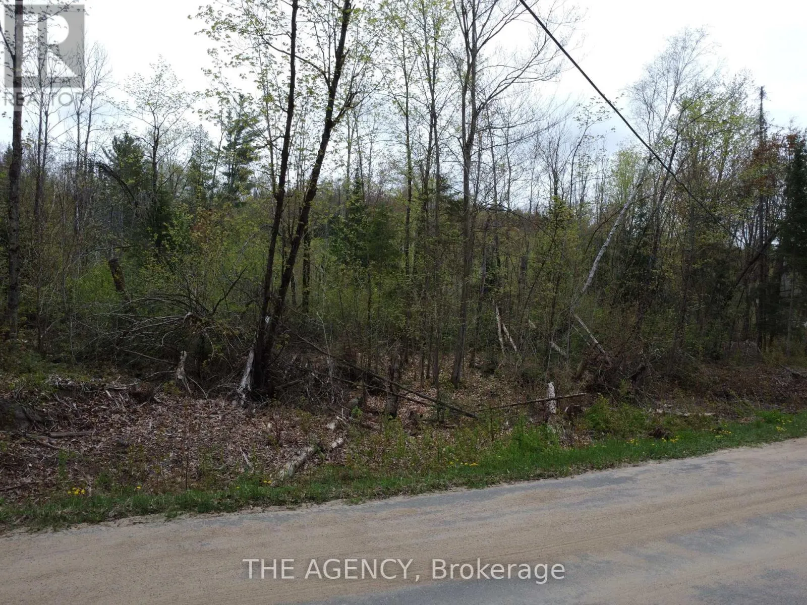 PCL 21380 WALKER LAKE DRIVE E