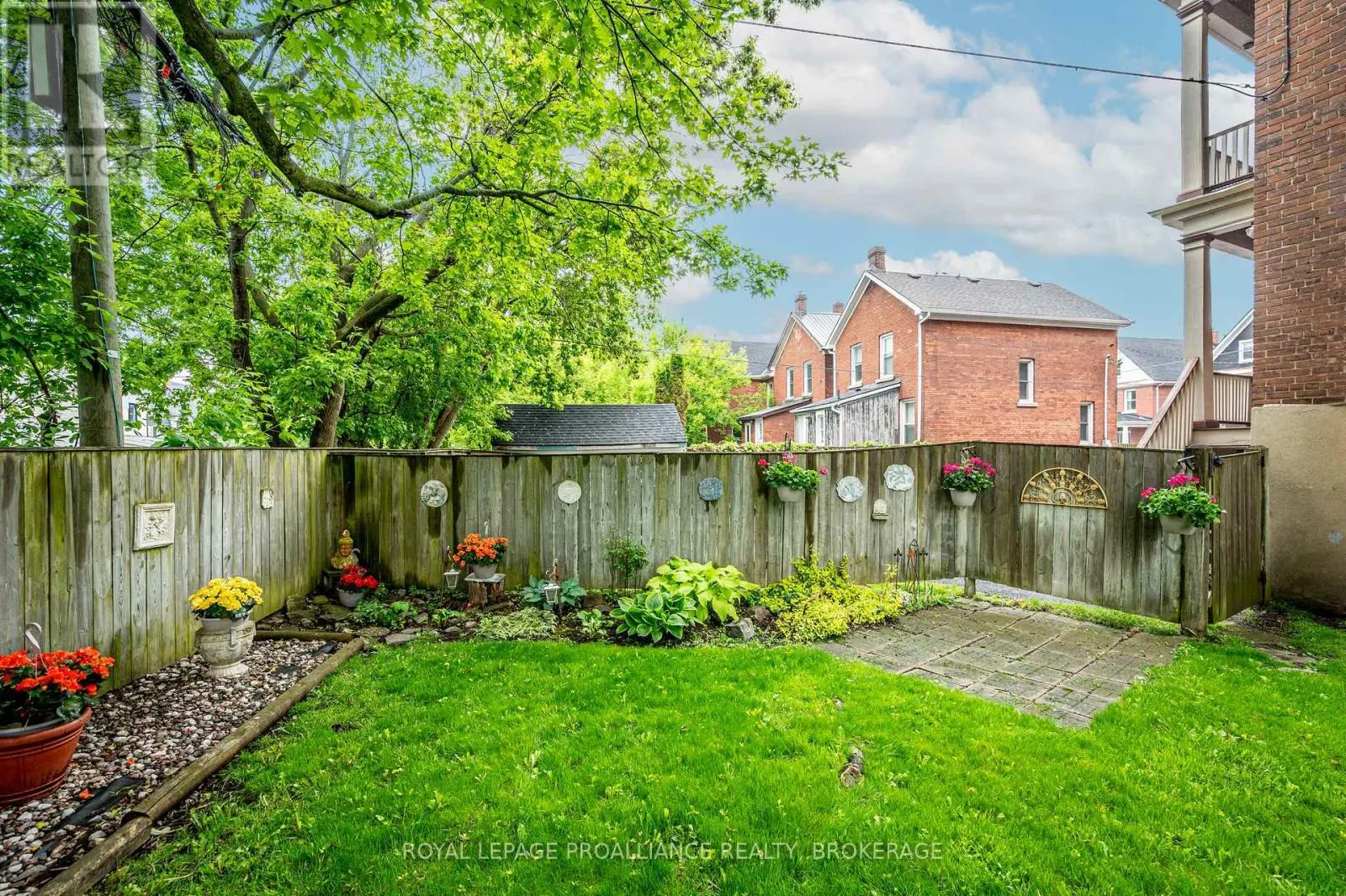2 - 244 BARRIE STREET, #2