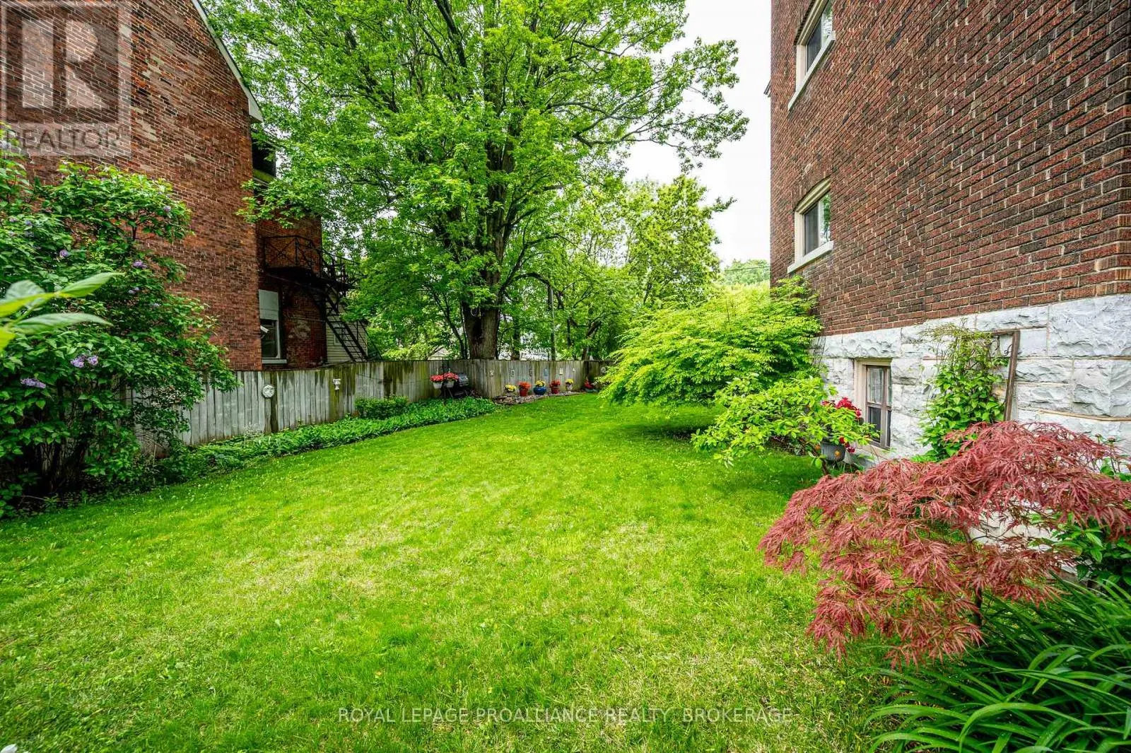 2 - 244 BARRIE STREET, #2