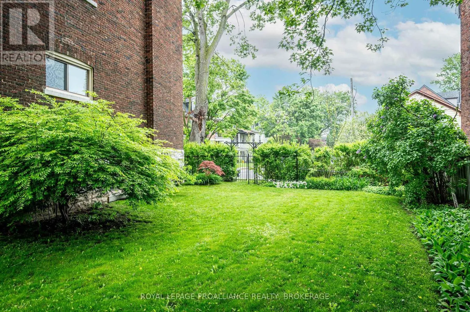 2 - 244 BARRIE STREET, #2